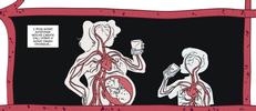 Graphic story: "Veleno nel sangue", la lotta delle mamme no Pfas - Foto n. 2/4